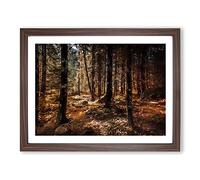 Within The Woods Modern Art Framed Print | A4 Walnut Framed Wall Art | Ready to Hang | Modern Landscape Picture | Living Room Bedroom Lounge Office