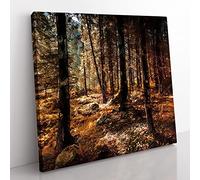 Within the Woods Modern Canvas Wall Art Print Ready to Hang, Framed Picture for Living Room Bedroom Home Office Décor, 50x50 cm (20x20 Inch)