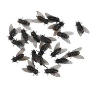 Without hook Large, Fly Fishing Crankbaits - 20-Piece Soft Bait Set with Fish Attractant, Lifelike Design & High-Carbon Steel Hooks for Trout, Salmon, Bass, Pike and Carp (Freshwater & Saltwater)