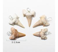 (Without Leather Cord) Moroccan Shark Tooth Silver Wire Pendant with Porbeagle Fossil and Ammonite Specimen