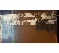 Without Sanctuary: Lynching Photography in America 1st (first) Edition by James Allen published by Twin Palms Publishers (2000)