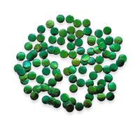 WitnyStore Jewel Beetle Wings Green Circle Shape 100 Pieces Set Metallic Beetles Wing Covers Elytra Elytron Genuine Durable Sternocera aequisignata Shards Jewellery Dressmaking Mask Mozaics Embroidery
