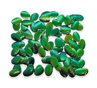 WitnyStore Jewel Beetle Wings Green Oval Shape 100 Pieces Set Metallic Beetles Wing Covers Elytra Elytron Genuine Durable Sternocera aequisignata Shards Jewellery Dressmaking Mask Mozaics Embroidery