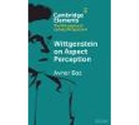Wittgenstein on Aspect Perception
