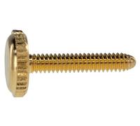 Wittner 441540701 Replacement Screw for Violin/Viola Tailpiece