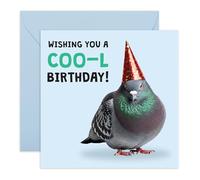 Witty Birthday Card for Him Her - Cool Pigeon - Gifts for Friends, Brother, Sister, Colleague, Coworker, Buddy, Pal, Mate, Lads, Neighbour - Comes with Fun Stickers
