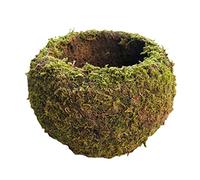 WIVAYE Moss Ball Flower Pot,12cm Natural Weave Moss Planter Bonsai, Bird Nest Shape Kokedama Moss Planter Pot for Home, Table, Office Decor