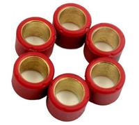 Wivplex 16x13mm Scooter Variator Roller Set 4g 4.5g 5.5g 6g, for 50 Fiddle Orbit 1 Symply 50cc GY6 139QMB 139QMA AC AW05W 4-Stroke Pulley Weight Roller Set(BLACK 16x13mm 6.5g)