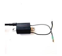 Wivplex Boat Motor T40-05090102 Ignition Coil B, for Parsun, HDX 2- Stroke 40CV T40 T40BM T40BW T40G T30BM 2 Temps G Type Green T40-05090102 Boat Ignition Switch