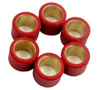 Wivplex Scooter Variator Roller Set 16x13mm 50cc 4-Stroke Models, for Django Kisbee V-Clic Available In 4g To 7g Weights Pulley Weight Roller Set(BLACK 16x13mm 6.5g)