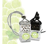 Wix & Stix Lime and Mint - The Luxury Car Diffuser with Fragrance That Lasts for at Least 6 Weeks. (Silver, Lime and Mint Car Diffuser 8ml)