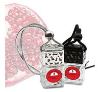 Wix & Stix Pomegranate Noir - The Luxury Car Diffuser with Fragrance That Lasts for at Least 6 Weeks. (Silver, Pomegranate Noir Car Diffuser 8ml)