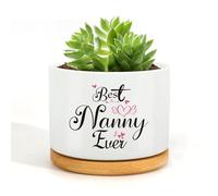 Wixelon Nanny Gifts,Gifts for Nanny,Nanny Birthday Gifts,Succulent Pots Gifts,Nanny Gifts from Grandchildren,Best Nanny Gifts,Presents for Nanny,Nanny Presents,Nanny, Nanny