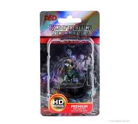 Wiz Kids LLC Human Ranger Male: D&D Icons of the Realms Premium Fi