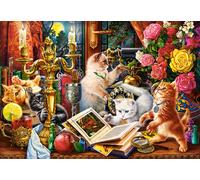 Wizard Kittens