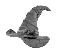 Wizard Witch Hat Halloween Fancy Dress Book W ccessory