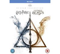 Wizarding World 10 Film Collection