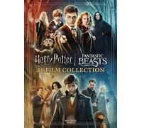 Wizarding World 10-Film Collection - 20th Anniversary [DVD]