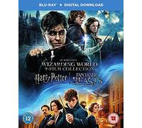 Wizarding World: [9 Film Collection] [Harry Potter/Fantastic Beasts] [Blu-ray] [2001]