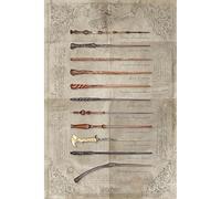 Wizarding World, PP34395, Harry Potter - The Wand Chooses The Wizard Maxi Poster, Multi-Color, 61 x 91.5cm