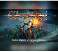 Wizardry: Proving Grounds of the Mad Overlord PC Steam Account