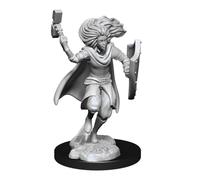 WizKids Changeling Cleric Male D&D Unpainted Miniatures 2-Pack (RHS)