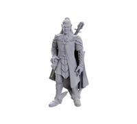 WizKids Critical Role Unpainted Miniatures: | Unpainted Miniatures | Wave 23 (Dorian Storm, Plastic)