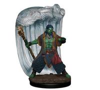 Wizkids D&D Icons Of The Realms Premium Figures: Water Genasi Druid Male (Wave 4)