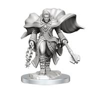 Wizkids D&D Nolzur's Marvelous Unpainted Miniatures: Male Aasimar Cleric (Wave 20)