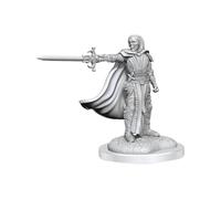 Wizkids D&D Nolzurs Marvelous Death Knights Miniatures