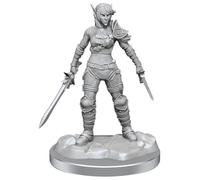 WizKids D&D Nolzur's Marvelous Miniatures: Elf Rogue & Half-Elf Rogue Protégé