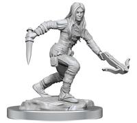 D&D Nolzur's Marvelous Miniatures: Half-Elf Rogue Female