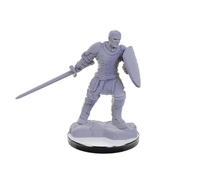 Wizkids D&D Nolzur's Marvelous Unpainted Miniatures: Reborn Paladin & Warlock (Wave 22)