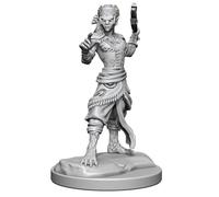 Wizkids D&D Nolzurs Marvelous Shifter Fighter Miniatures