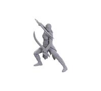 WizKids D&D Nolzur's Marvelous Miniatures: Special Edition Baldur's Gate 3 (Jaheira & Halsin)