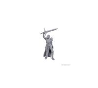 Wizkids - D&D Nolzurs Marvelous Miniatures: Wave 25 - Blackguard