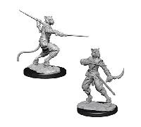 Dungeons & Dragons WK73540 accessories