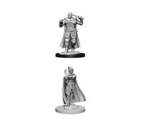 WizKids D&D WZK73675 Accessories