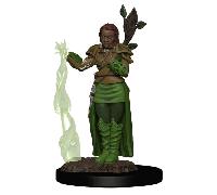 Wiz Kids LLC Human Female Druid D&D Icons of the Realms Premium Fi
