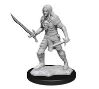 WizKids Dungeons & Dragons 48854 Board Game