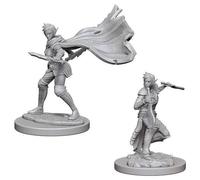Wizkids Elf Female Rogue Pathfinder Deep Cuts Unpainted Miniatures