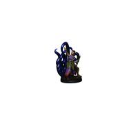 WizKids/NECA D&D Icons Of The Realms Premium Figures: Female Human Warlock - 6 Units