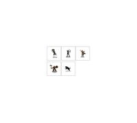 Wizkids Adventures In The Forgotten Realms - Companions Of Hall Starter