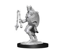 WizKids/NECA Waffle's Birthday: 1 (Waffle the Wonder Dog) - D&D Kalashtar Cleric Female (6 Units) - Miniature Figure