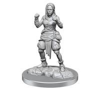 Wizkids Pathfinder Deep Cuts Unpainted Miniatures: Female Half-Elf Monks (Wave 21)
