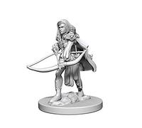 WizKids Pathfinder: Deep Cuts Unpainted Miniatures: Human Female Fighter