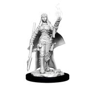 WizKids WZK90044 Accessories