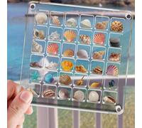Wjelet Decorative Storage Box - Acrylic Magnetic Seashell & Gemstone Display Box with 36 Grids for Organizing Shells, Trinkets and Beads
