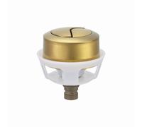 Wjelet Toilet Push Flush Button - Dual Flush Brushed Gold, Universal Fit for 20mm-60mm Cistern Holes, Flush Push Button Kit,ABS Plastic & Brass