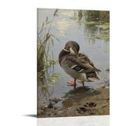 WJHJZQYY Wild Ducks Preening on The Shore, Movements Careful Decorative Wall Mural Modern Hanging Art Poster08x12inch(20x30cm)